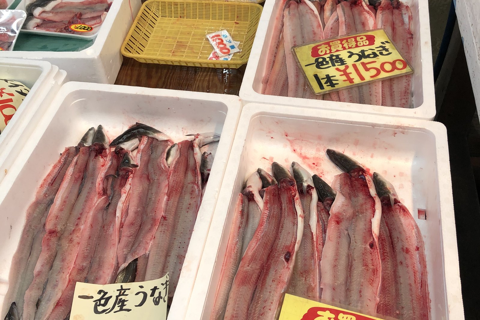 一色さかな広場（愛知県西尾市一色町）の売り場に並ぶうなぎ